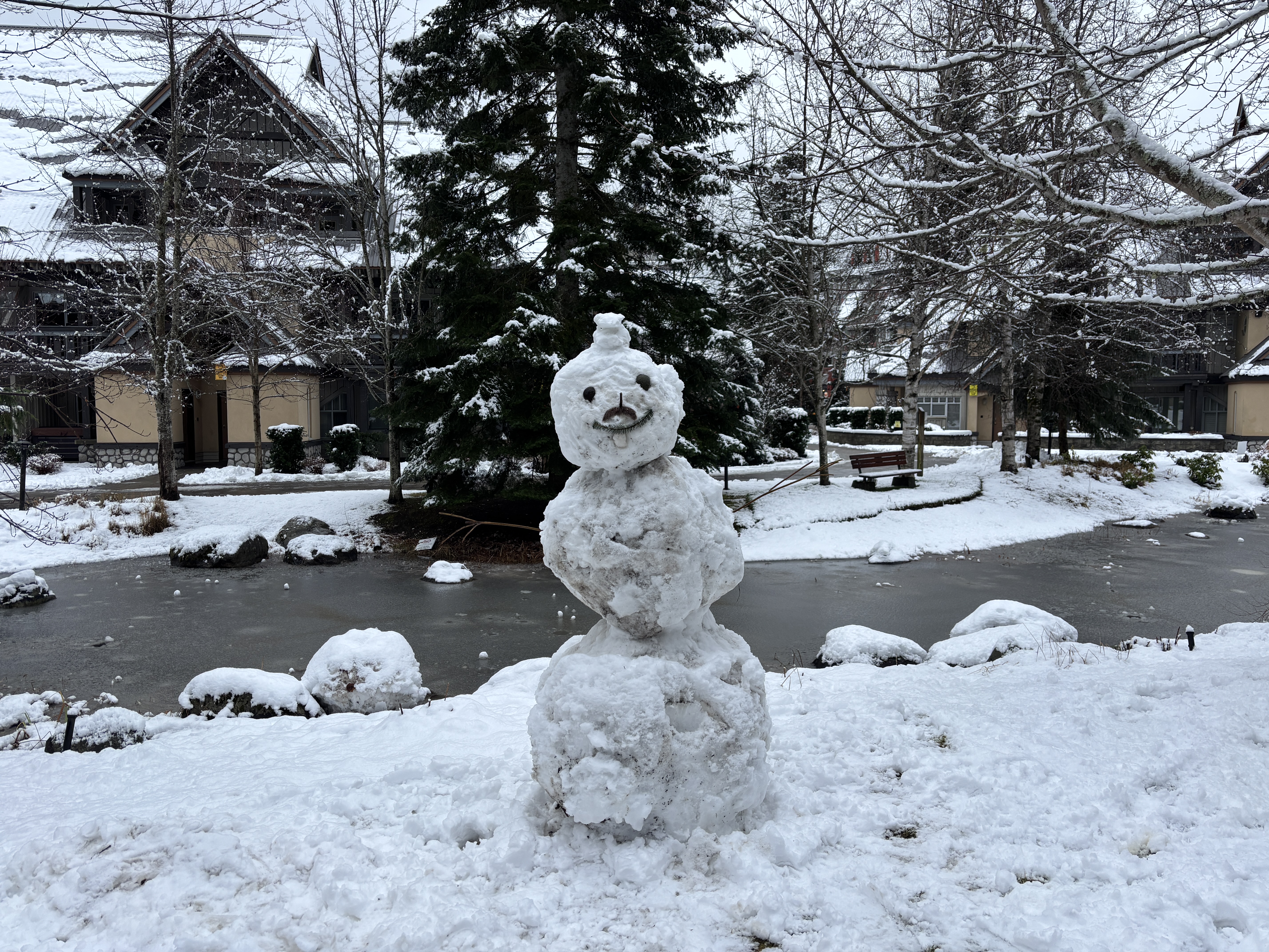 Yuletide Reflections